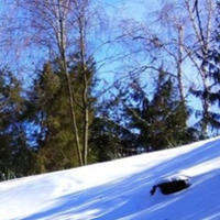 Фінансовий гороскоп на лютий: гроші не можуть купити щастя, але можуть надати вам впевненість в завтрашньому дні