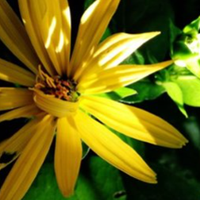 Будуть гроші і кохання: найщасливіші знаки Зодіаку 2021 року