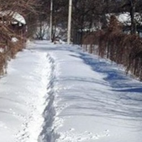 Мені виповнилося 28 років, я вже заміжня, живу в селі. Я пам'ятаю, що коли була маленькою, то мого тата тиждень не було вдома. Якось ми з мамою стали згадувати моє дитинство і мама розповіла, що вона