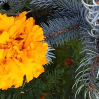 Гороскоп з 25 по 31 січня: останній тиждень січня пройде переважно під егідою позитивної енергетики, однак 30 січня розпочнеться період ретроградності Меркурія