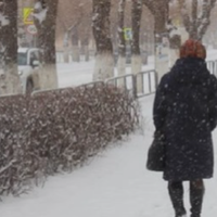 В той вечір я повернулася з роботи дуже голодна, то був кінець місяця, грошей у мене не було, тому я нічого не купила. Я була впевнена, що мама щось приготувала, але моя мати подала мені майже недоїдк