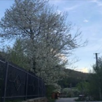 Ми жили в селі, у мене був чоловік, дочка, власний будинок. Коли не стало сестри, я вирішила забрати її дітей до себе, але мій чоловік мене не підтримав і розлучився зі мною.