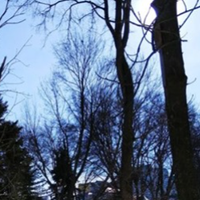 Гороскоп з 1 по 7 лютого: Тиждень сприятливий для усунення тривалих конфліктів і відновлення стосунків