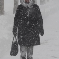 Мати мого чоловіка сама живе в селі і має гарний будинок і земельну ділянку. У неї двоє дітей: старша дочка і молодший син. Різниця у віці і них досить велика - 14 років.