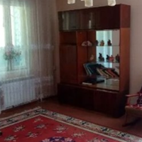 Мати чоловіка вмовила мене, щоб я жила з ними після весілля. Але я там довго не затрималася, бо було непросто жити з такою жінкою під одним дахом. Одного ранку я зібрала речі, забрала сина і поїхала д