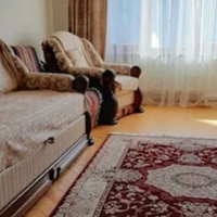 Ми з Іриною одружилися. Її батьки жили за містом, а в місті у них була маленька квартира. Теща стала вмовляти нас, щоб ми жили там, щоб квартира не пустувала. Як тільки ми туди переїхали, я взявся за