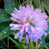 Гороскоп з 8 по 14 лютого: лютий багато астрологів вважають найсприятливішим місяцем зими. Другий його тиждень обіцяє бути більш спокійним, оскільки енергетика зірок і планет стане трохи спокійнішою