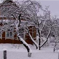 Того ранку був сильний мороз. На базарі було мало людей і Оксана поверталася додому з повними торбами, продати вдалося лише молоко. Поки їхала в сільському автобусі, вона згадувала свою стареньку мату