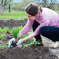 Я зібрала урожай, наварила компоту, варення, лечо, огірки-помідори, кабачки – все закатала. А днями спіймала сина, який з мого погреба тягнув банку з огірками для дружини.