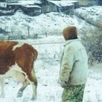 Поки Мотря з Гнатом були ще молоді і ще працювали самі та тримали господарство, всі гроші віддавали своїй доньці Тамарі. Тамара жила у місті, у квартирі свого чоловіка, яка йому від батьків дісталася.