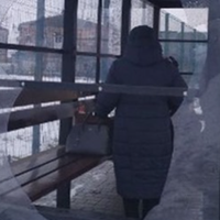 Нещодавно до мене в гості заходив син, він повідомив, що свати збираються до Єгипту, вже квитки мають. Мене ця новина не дуже здивувала, але засмутила. Син попросив позичити йому гроші, бо в старшого