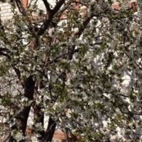 З Ганною ми жили 17 років в хаті, яка мені дісталася від моїх батьків. Жили не погано, а потім дружина з жінками з роботи поїхала в Італію, сказала, що це не на довго. Спочатку збирала гроші доньці на