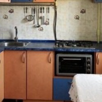 Свекор знайшов собі іншу і залишив матір чоловіка. Куди він поїхав з тією пані ніхто не знає, ми й досі про нього нічого не чули. А Олена Сергіївна говорила, що їй самотньо одній і просила, щоб син пр