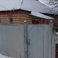 Після Різдва не стало бабусі Килини. Я й досі не знаю хто повідомив її доньці, але Софія того ж дня з'явилася на подвір'ї матері вперше за багато років. Вона дуже постаріла, посивіла.