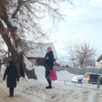 На початку лютого в доньки був день народження. Я знала, що мене не запросять на святкування, то ж набрала дві повні сумки домашніх продуктів – яйця, молоко, курку, м'ясо, закрутки і поїхала до доньки