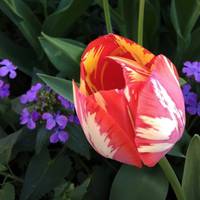 Гороскоп на березень: що саме приготував перший весняний місяць для кожного знака Зодіаку