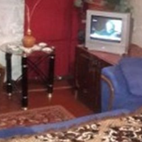 Єдина донька привела зятя до мене додому. Він сам з села, не хотіли туди їхати з нею, стали жити у мене. Спочатку він посміхався мені, вітався. Потім йому стала не подобатися наша собака.