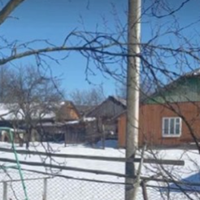 Я недавно запропонувала бабусі продати її будинок в селі, скласти наші гроші і купити будинок в місті. Власниками записати її і мого чоловіка. Так і вони будуть під наглядом і дітей не потрібно вивози