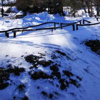 Жіночий гороскоп з 1 по 7 березня: у березні 2021 року багатьох чекають зміни на краще, і астрологи радять жінкам не зволікати з перетворенням. Бажання щось змінити – це перший крок на шляху до щаслив