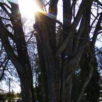 Гороскоп з 1 по 7 березня: астрологи зазначають, що друга половина тижня для багатьох з нас стане непростим часом. Перше, про що варто пам’ятати, – не можна вирішувати чужі проблеми