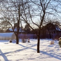 Багато років ми возили дітей в село до тещі з тестем на все літо і самі там часто гостювали. Але діти виросли. У село вже не тягне: ну що там робити, крім купання в річці? І ось на восьмому десятку ро