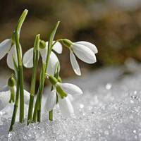 Що очікувати Дівам, Козерогам та іншим знакам Зодіаку в перший місяць весни