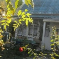 Минулого року під кінець дачного сезону я вирішила, що раз вже діти так часто залишаються у мене на дачі, то я можу попросити зятя про одну послугу - допомогти там з ремонтом, там роботи небагато, але