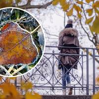 Синоптики попередили про різкі перепади погоди: де буде +13, а де - мокрий сніг