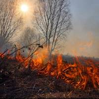 У Полтавській області паліїв сухої трави відправлять копати траншеї