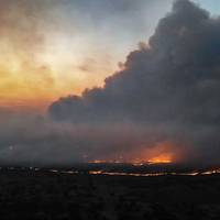 У Чорнобильській зоні горять понад 10 тисяч гектарів лісу