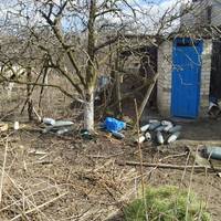 Кожне подвір'я встелене мертвими тваринами: на Чернігівщині російські окупанти знищували навіть корів та собак (фото 18+)