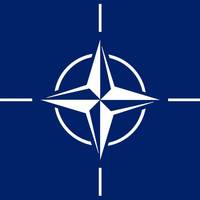 Україна має шанс стати членом НАТО без етапу ПДЧ: очільниця посольства США пояснила, як це можливо