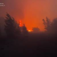 Поблизу Чорнобильської зони триває пожежа, ДСНС врятувала жінку