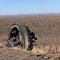 Україна засіяла 80% запланованих територій