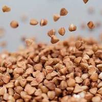 Ціна гречки в Україні поб’є всі рекорди: 100 гривень – не межа