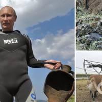 На саміті G7 світові лідери висміяли Путіна, нагадавши його фото на коні