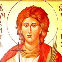 28 червня - День Віта(Фіта)