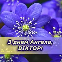1 липня – День ангела Віктора