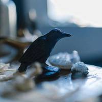 Гороскоп на 9 липня: Рибам потрібно відпочити, а Дівам – набратися терпіння