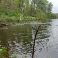 У Полтавській області тиждень шукали 13-річного хлопця, який пішов рибалити. Його знайшли мертвим.