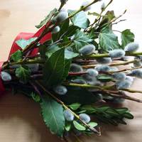 – І не соромно вам у Вербну неділю красти? – Невістка верещала на весь двір. Сусіди повибігали