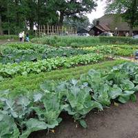 Правду кажуть, добро повертається сторицею. За все своє життя мені ніхто так не допоміг, як Андрій, чужа, але така рідна дитина.