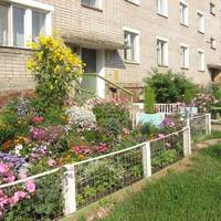 Не думала, що ми із сусідами станемо ворогами, а все через мою невеличку клумбу під нашим балконом. Хотіла ж як краще зробити, аби око милувало! Але ж ні!