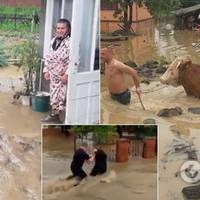 Повінь накрила захід України: оголошено червоний рівень небезпеки, є жертви. Фото і відео