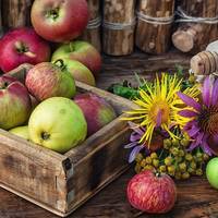 Свято Яблучний Спас - традиції дня