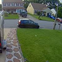 У США з неба впала риба, пошкодивши автомобіль