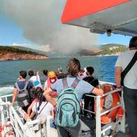 Вогонь не полишає Туреччину у спокої: пожежа спалахнула на острові біля Стамбула