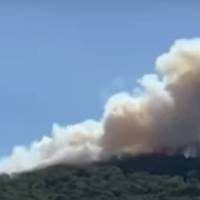 Острів у вогні: У Туреччині пожежі накрили улюблене місце відпочиваючих