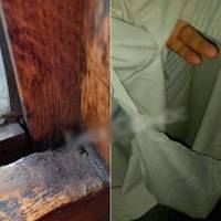 Укрзалізниця пробила дно пекельним сервісом: 