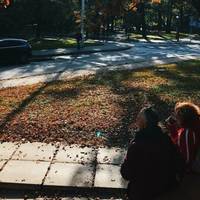 Вдарять морози і випаде перший сніг: в Україні очікується найхолодніша осінь